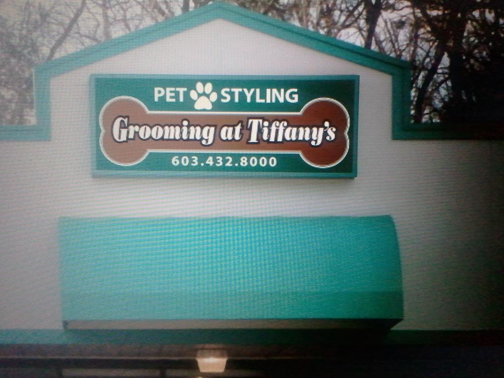 Grooming at Tiffany's Derry NH 03038 6034328000 Dog Grooming